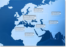TNO international
