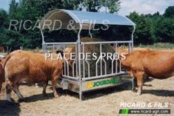 Jourdain 4 faces festons