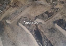 Goodyear Agri