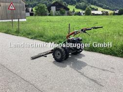 Rapid ++ Rex - 3 Reihigen Stachelwalzen ++