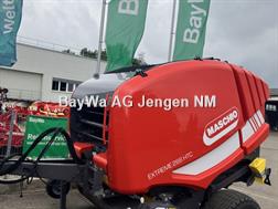 Maschio Mondiale / Extreme Spätsommer - RABATT - AKTION