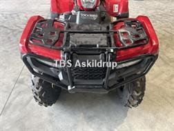 Honda TRX 500 FA RIBICON