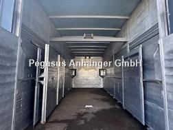 Man TGA 18.390 4x2 Viehtransporter LKW Cuppers 1 Stock