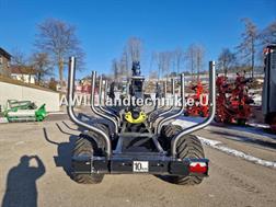 Palms H 10D + K 5.85