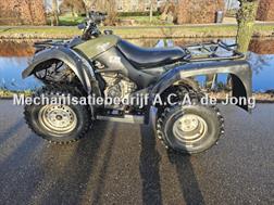 Suzuki Ozark LTF250