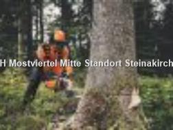  BENZINMOTORSÄGE MS 400.1 -M / 45 cm