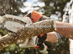  GEHÖLZSCHNEIDER GTA 26 SET