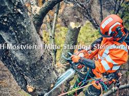 Husqvarna BENZIN MOTORSÄGE 560XPG MARK II 18