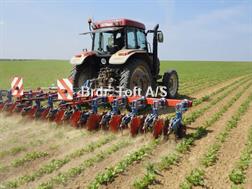 Hatzenbichler 12R6MF 50 cm - Roer/Raps/Spinat