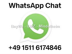 Maschio GRATOR 600 GAMMA MIT DOPPEL-WA