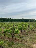 Exploitations agricoles